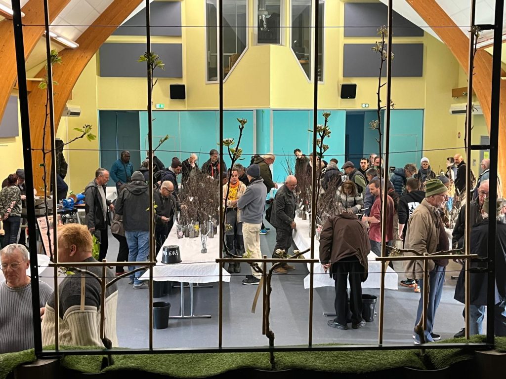 Vue plongeante sur la salle de l'évènement avec des arbres en espalier au premier plan.